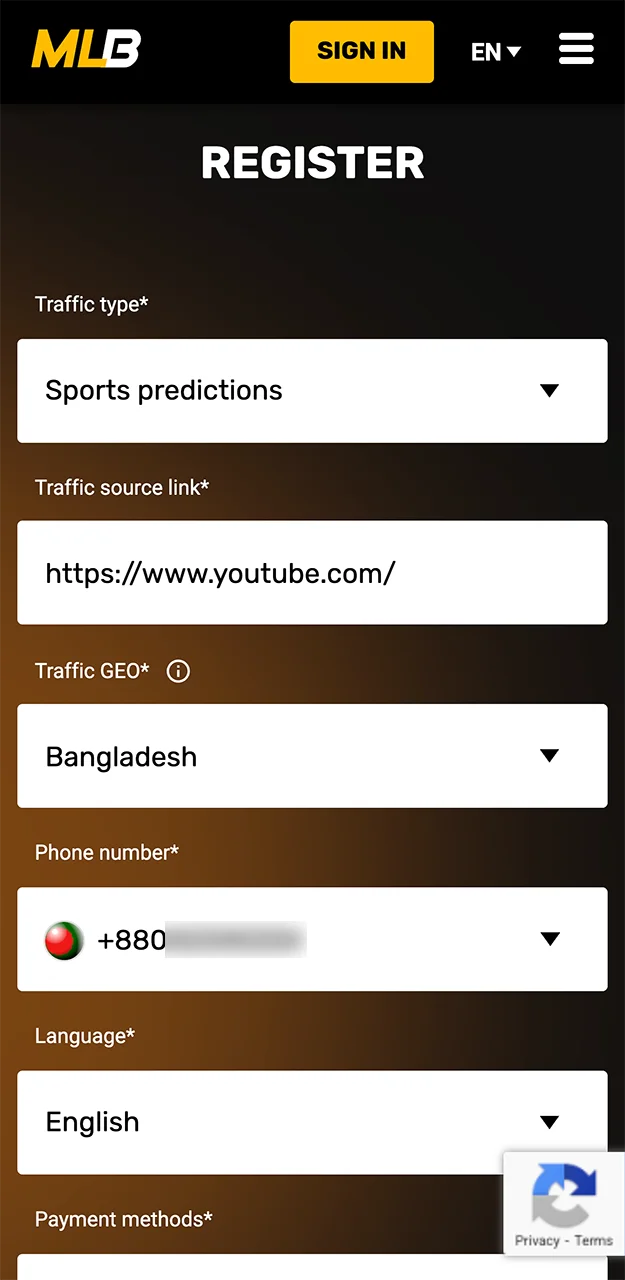 Choose the best promotional channel for working with the Melbet affiliate programme.