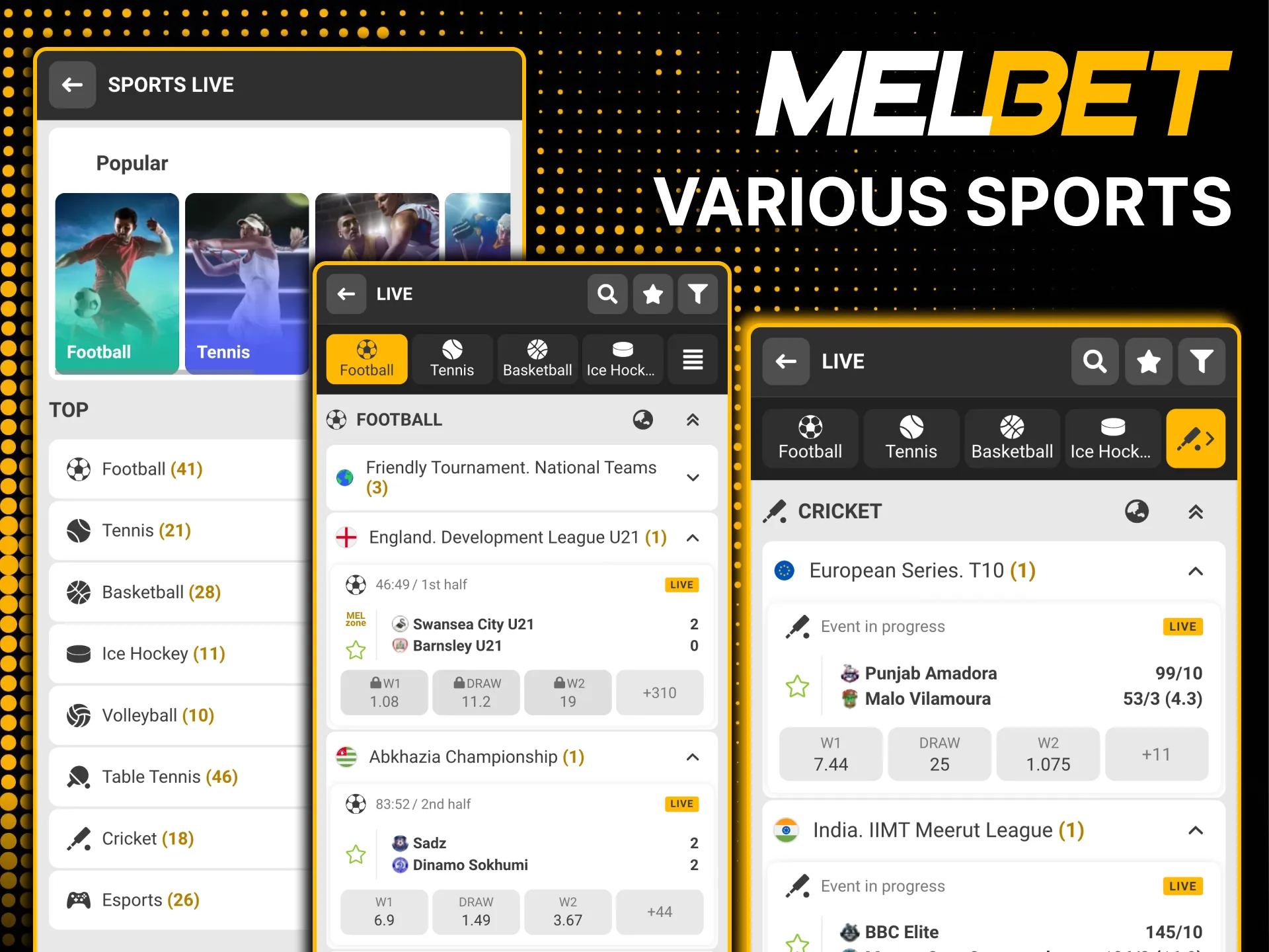 Place basketball and kabaddi bets via Melbet app.