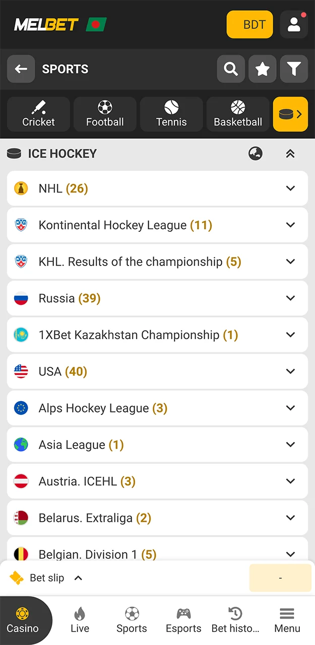Select a hockey match from those available for betting on the Melbet website.