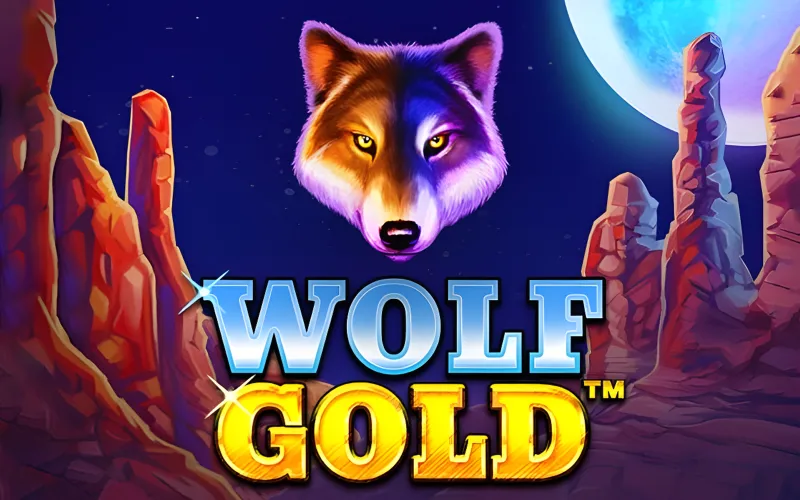 Use these strategies to win at Wolf Gold on the Melbet website.